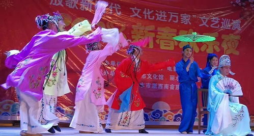 新春文化盛宴 市区春节期间文化活动安排揭晓