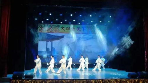 长春市宽城区社区文艺精品展演点亮基层文化生活